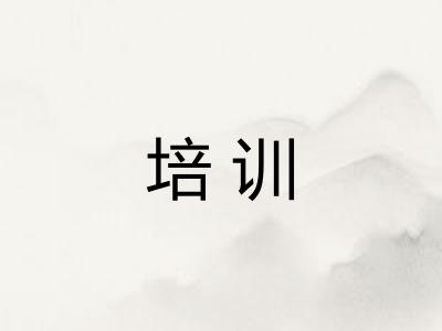 培训