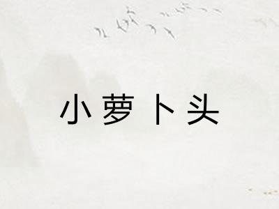 小萝卜头