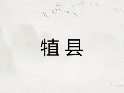 犆县