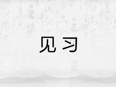 见习