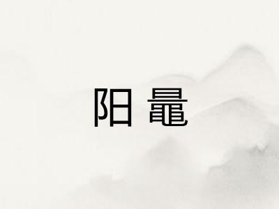 阳鼂