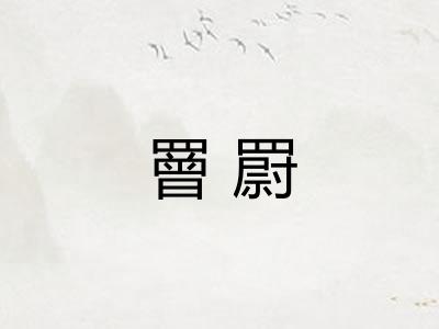 罾罻