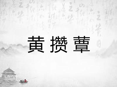黄攒蕈
