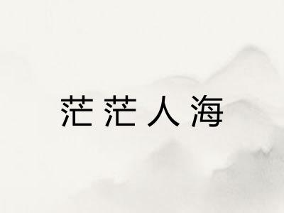 茫茫人海