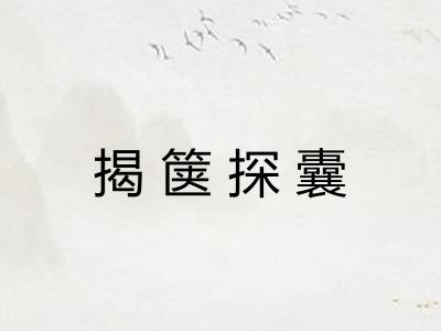 揭箧探囊