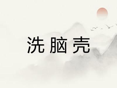 洗脑壳