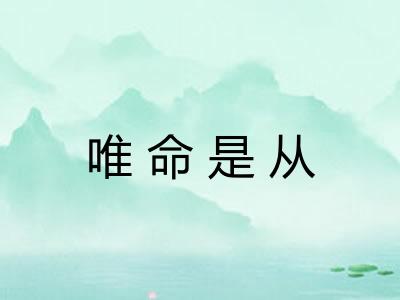 唯命是从