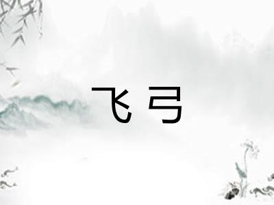 飞弓