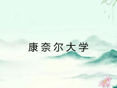 康奈尔大学