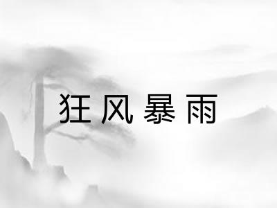 狂风暴雨
