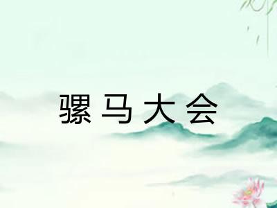 骡马大会