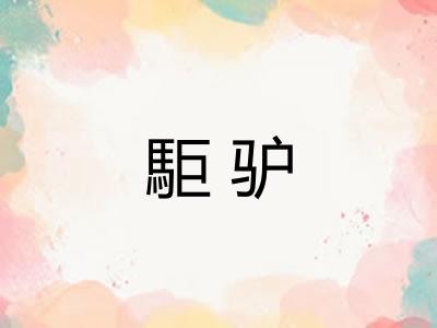 駏驴