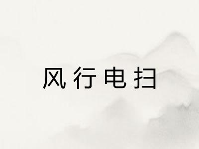 风行电扫
