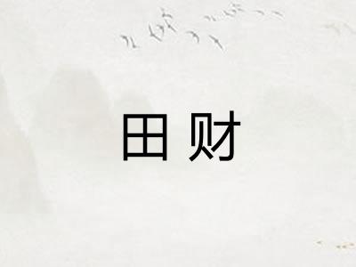 田财