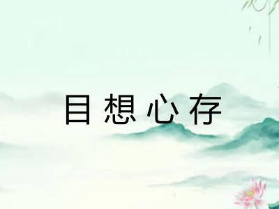 目想心存