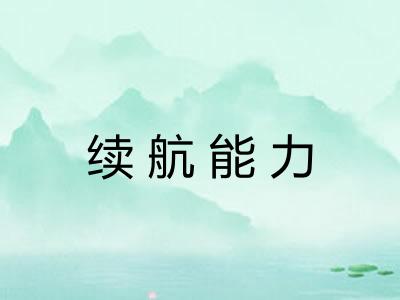 续航能力