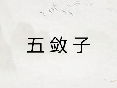 五敛子