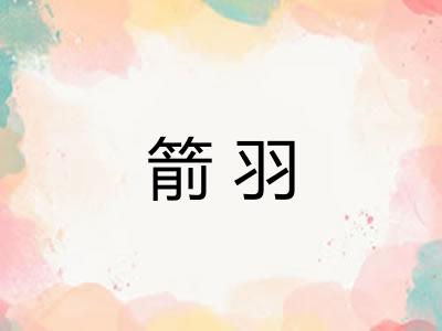 箭羽