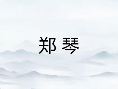 郑琴