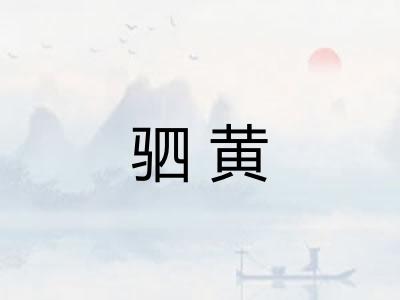 驷黄