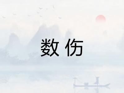 数伤