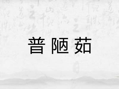 普陋茹
