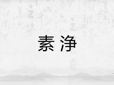素浄
