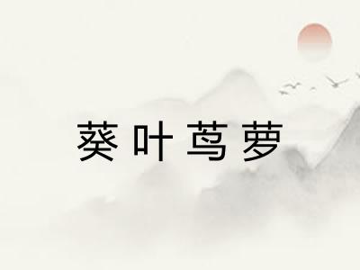 葵叶茑萝