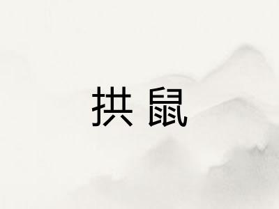 拱鼠