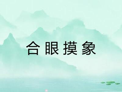 合眼摸象
