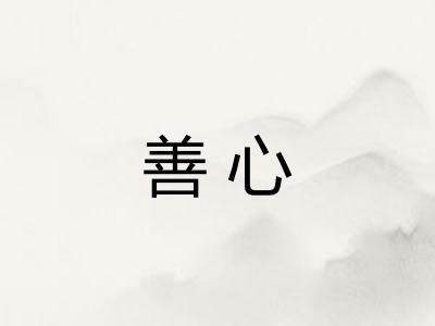 善心