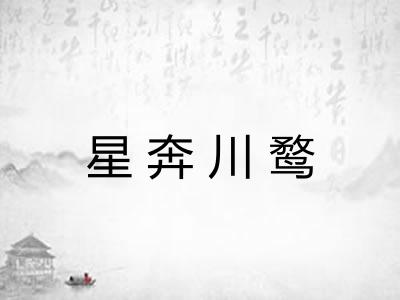 星奔川鹜