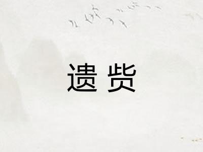 遗赀