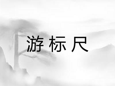 游标尺