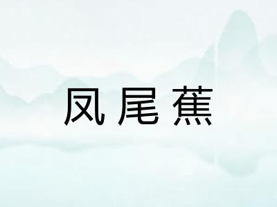 凤尾蕉