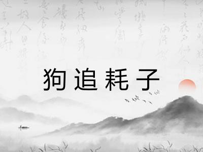 狗追耗子