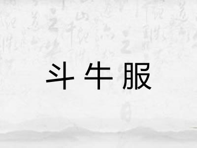 斗牛服