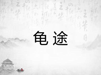 龟途