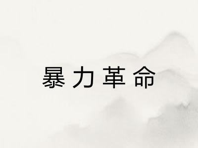 暴力革命