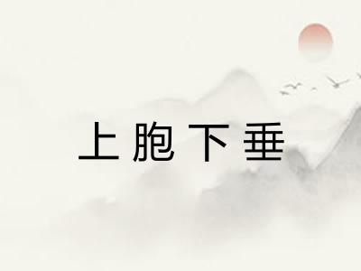 上胞下垂