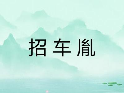 招车胤