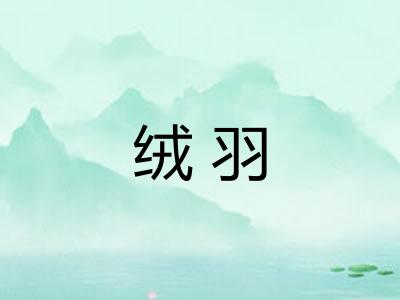绒羽