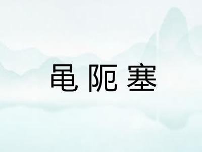 黾阨塞