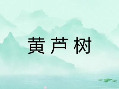 黄芦树