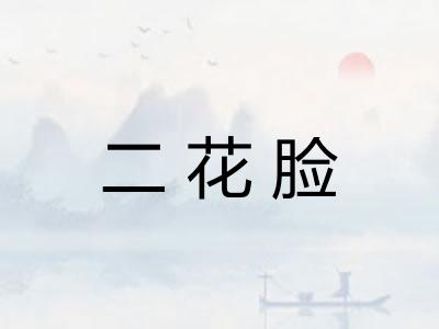二花脸