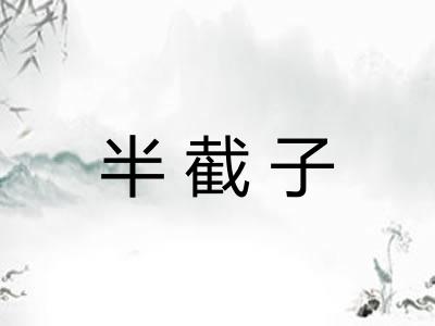 半截子