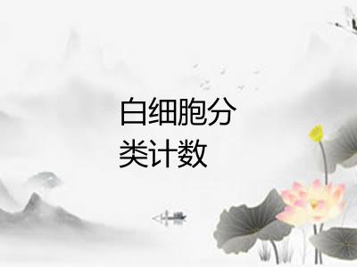 白细胞分类计数