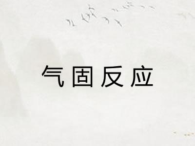 气固反应
