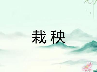 栽秧