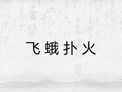 飞蛾扑火